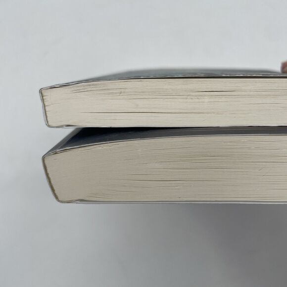 2 Books Juniper Wiles and Juniper Wiles and the Ghost Girls Charles de Lint PB - Picture 9 of 10